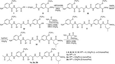 Major Factors for the Persistent Folding of Hybrid α, β, γ-Hybrid Peptides Into Hairpins